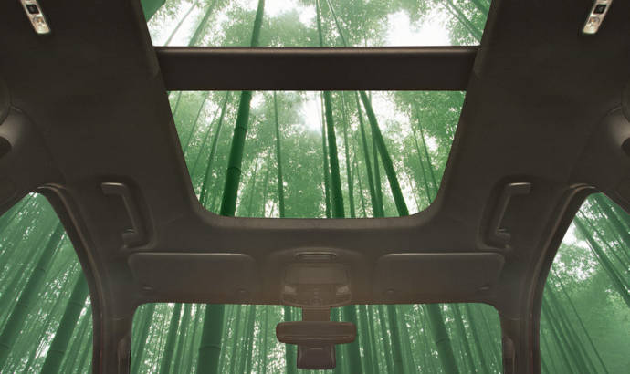 Ford could use bamboo in their cars