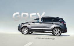 Grey cars are the most popular among Ford customers