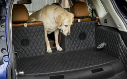 Nissan Rogue Dogue concept to debut in New York