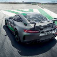 Mercedes-AMG GT4 - Official pictures and details