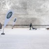 Land Rover Discovery Sport races a dog sled