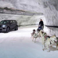 Land Rover Discovery Sport races a dog sled