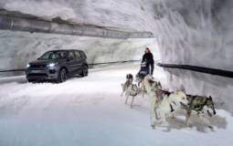 Land Rover Discovery Sport races a dog sled