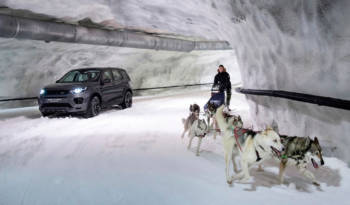 Land Rover Discovery Sport races a dog sled