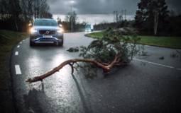 Volvo Cars and Volvo Trucks will share traffic data