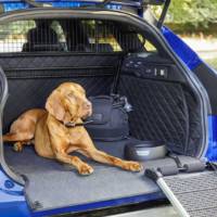 Jaguar has some pet-friendly accessories for your beloved companion