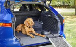 Jaguar has some pet-friendly accessories for your beloved companion