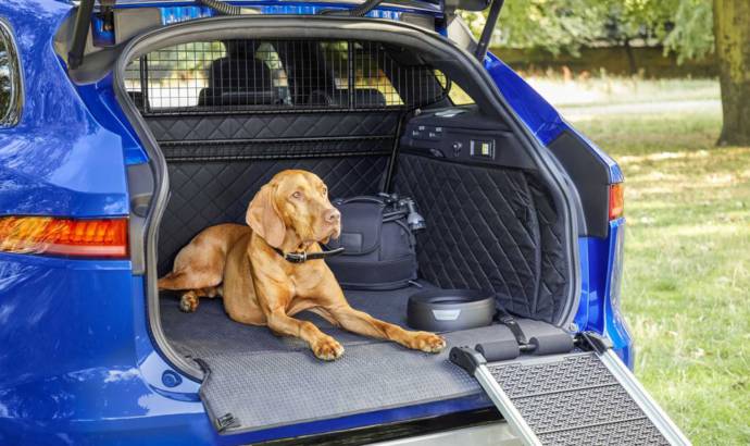 Jaguar has some pet-friendly accessories for your beloved companion