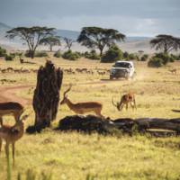 New Land Rover Defender completes some new testing in Kenya