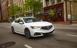 2019 Acura TLX Sedan