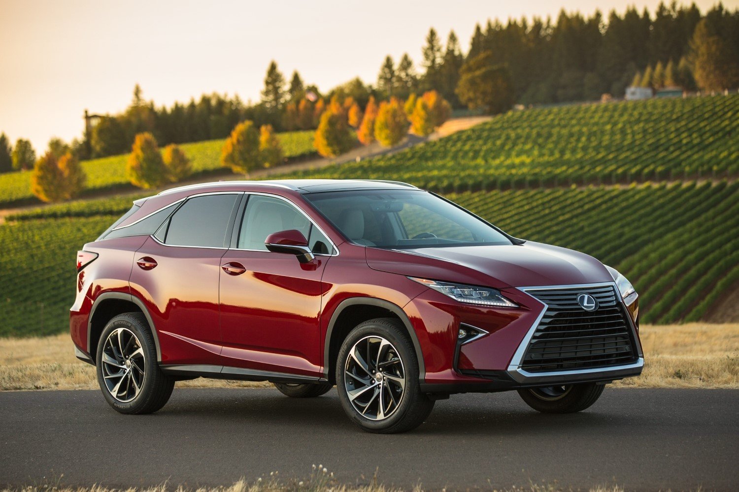 2019 Lexus RX350L SUV Specs, Review, and Pricing | CarSession